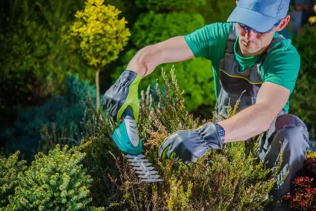 landscaping services Lawrence